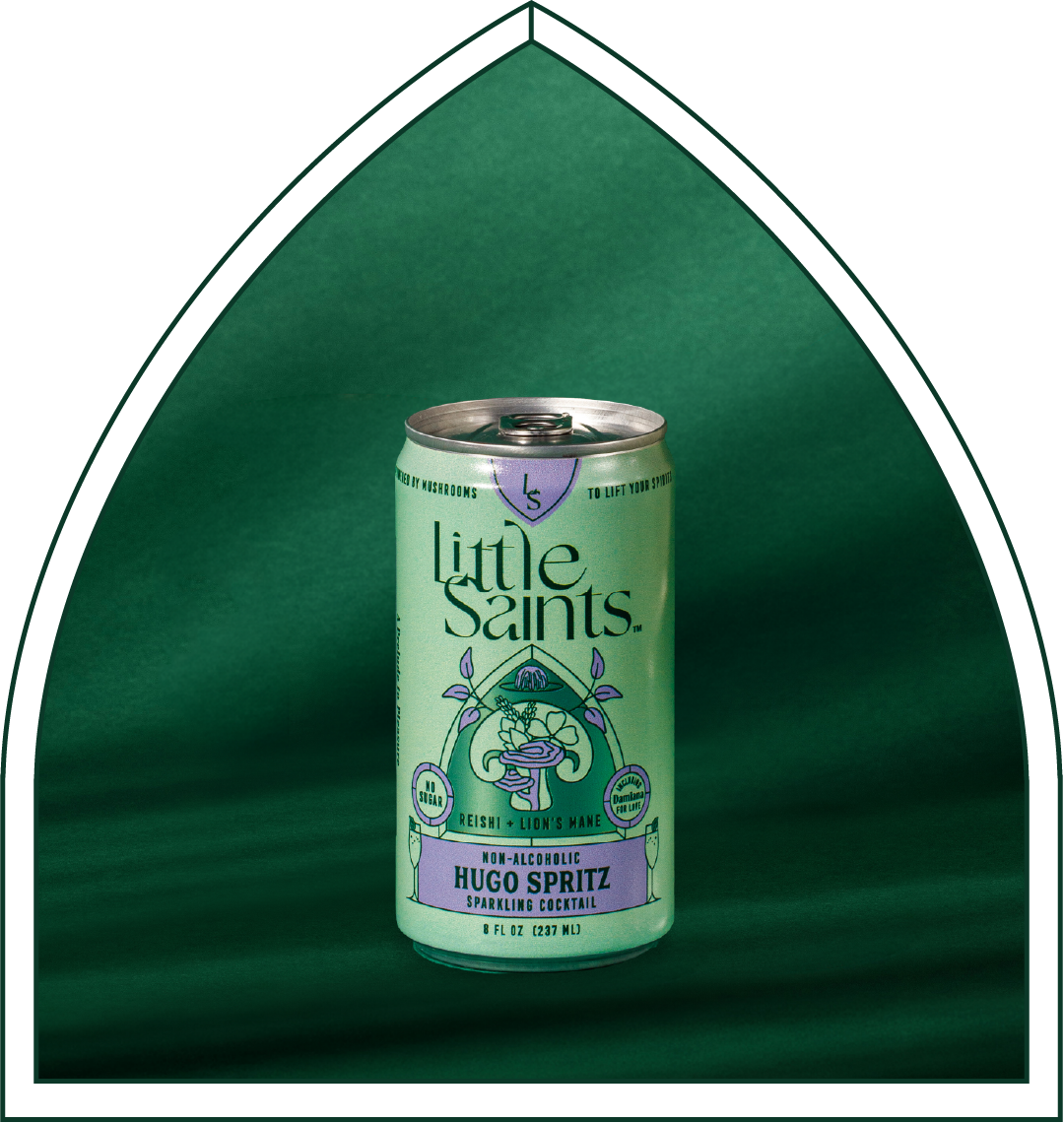 Hugo Spritz: Wholesale 12-pack