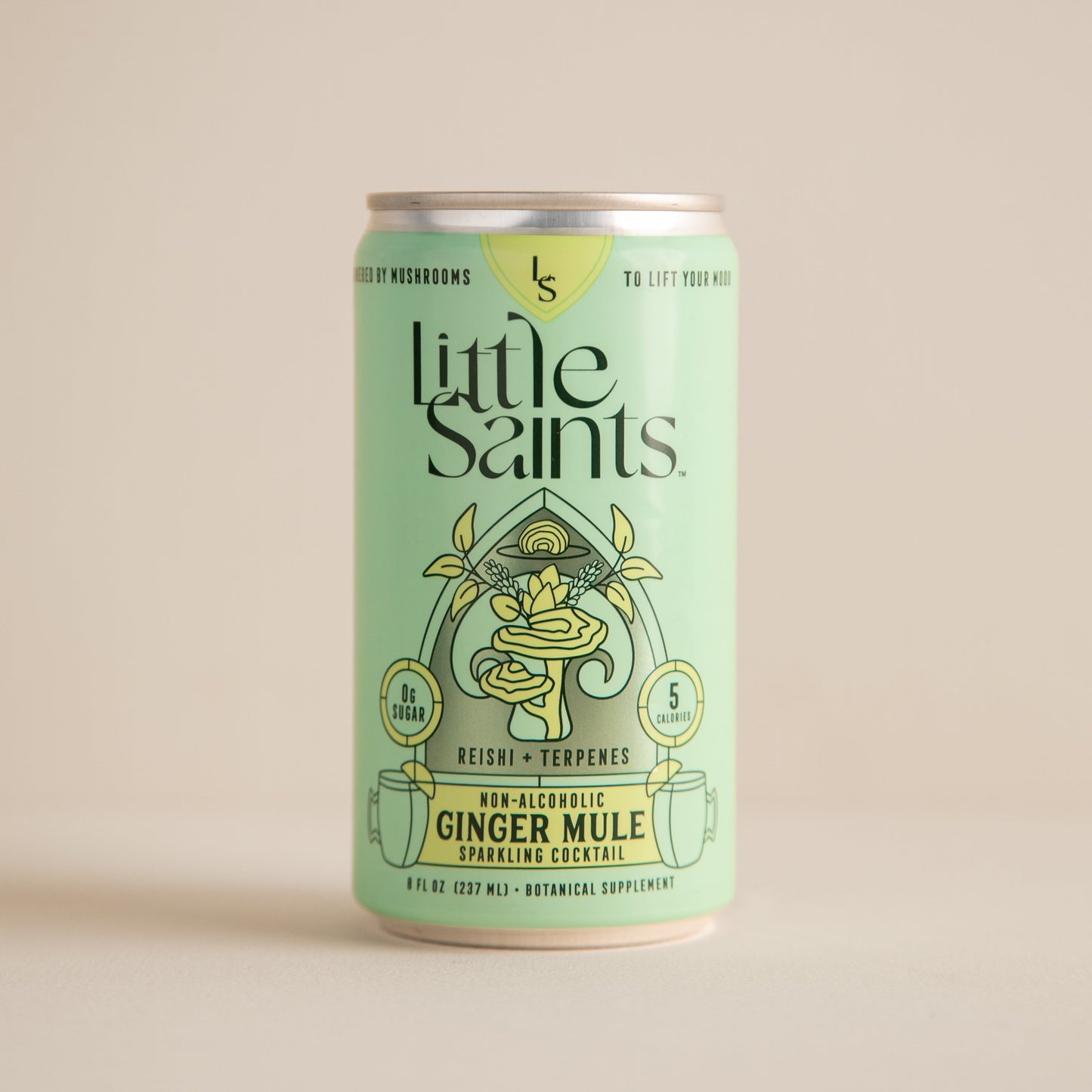 Ginger Mule: Wholesale 12-pack