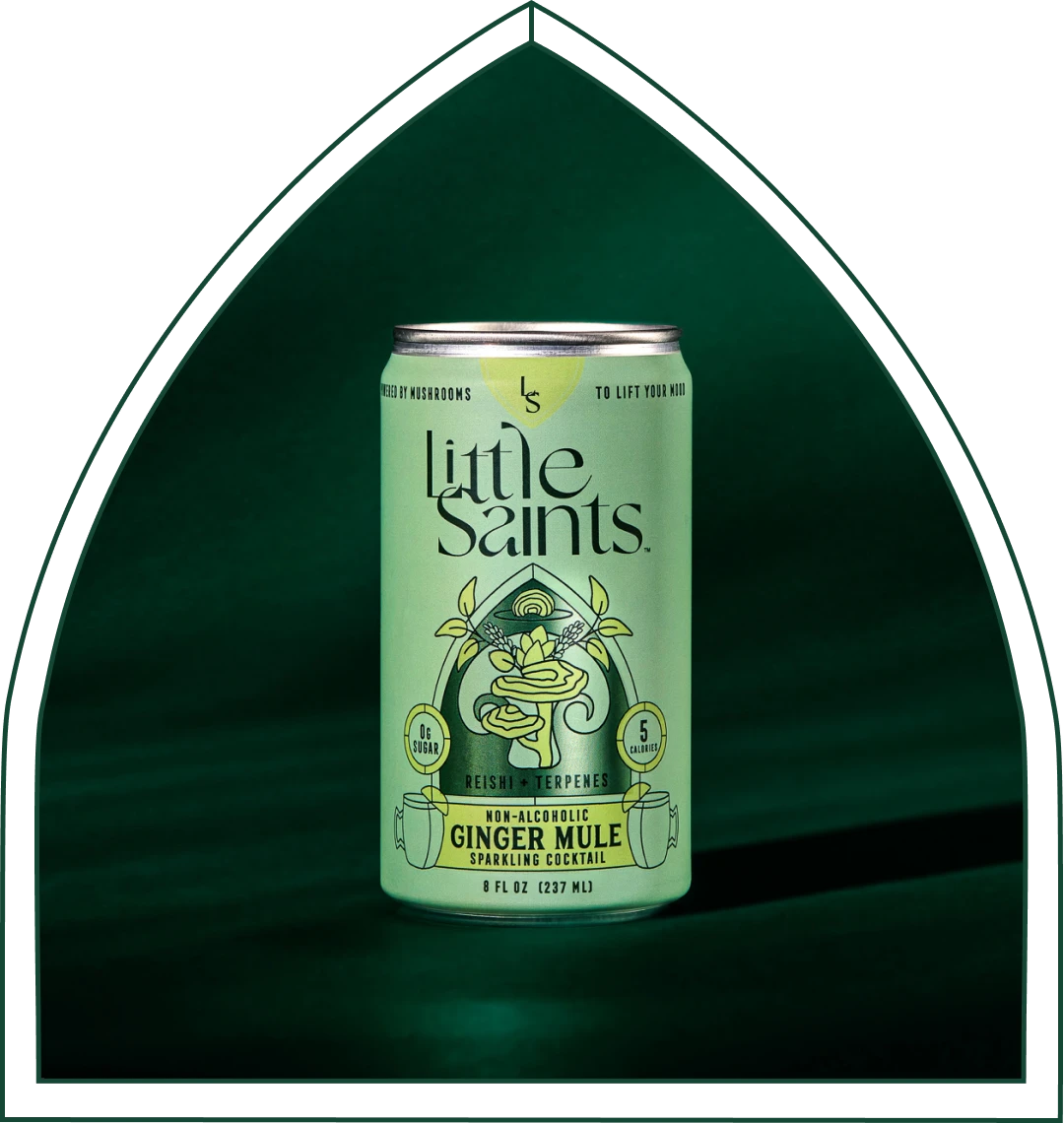 Ginger Mule: Wholesale 12-pack