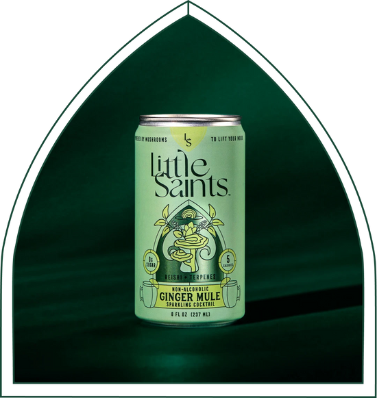 Ginger Mule: Wholesale 12-pack