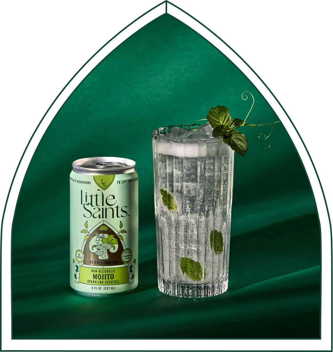 Mojito: Wholesale 12-pack