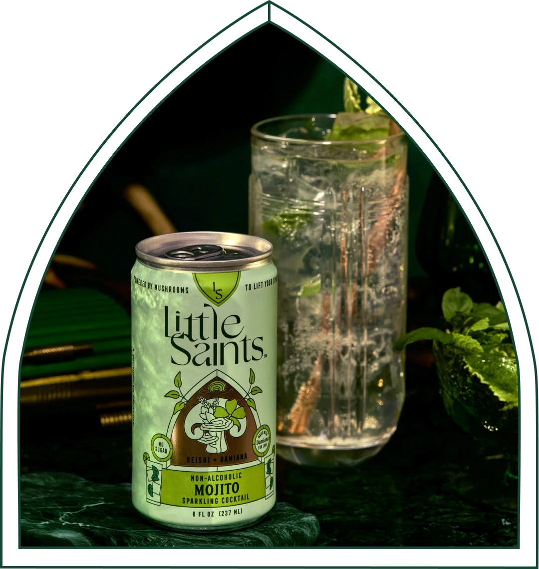 Mojito: Wholesale 12-pack