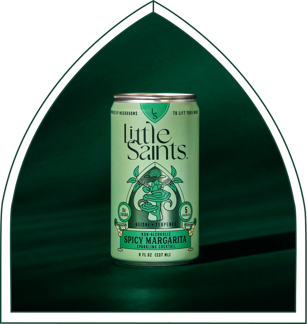 Spicy Margarita Wholesale 12 pack