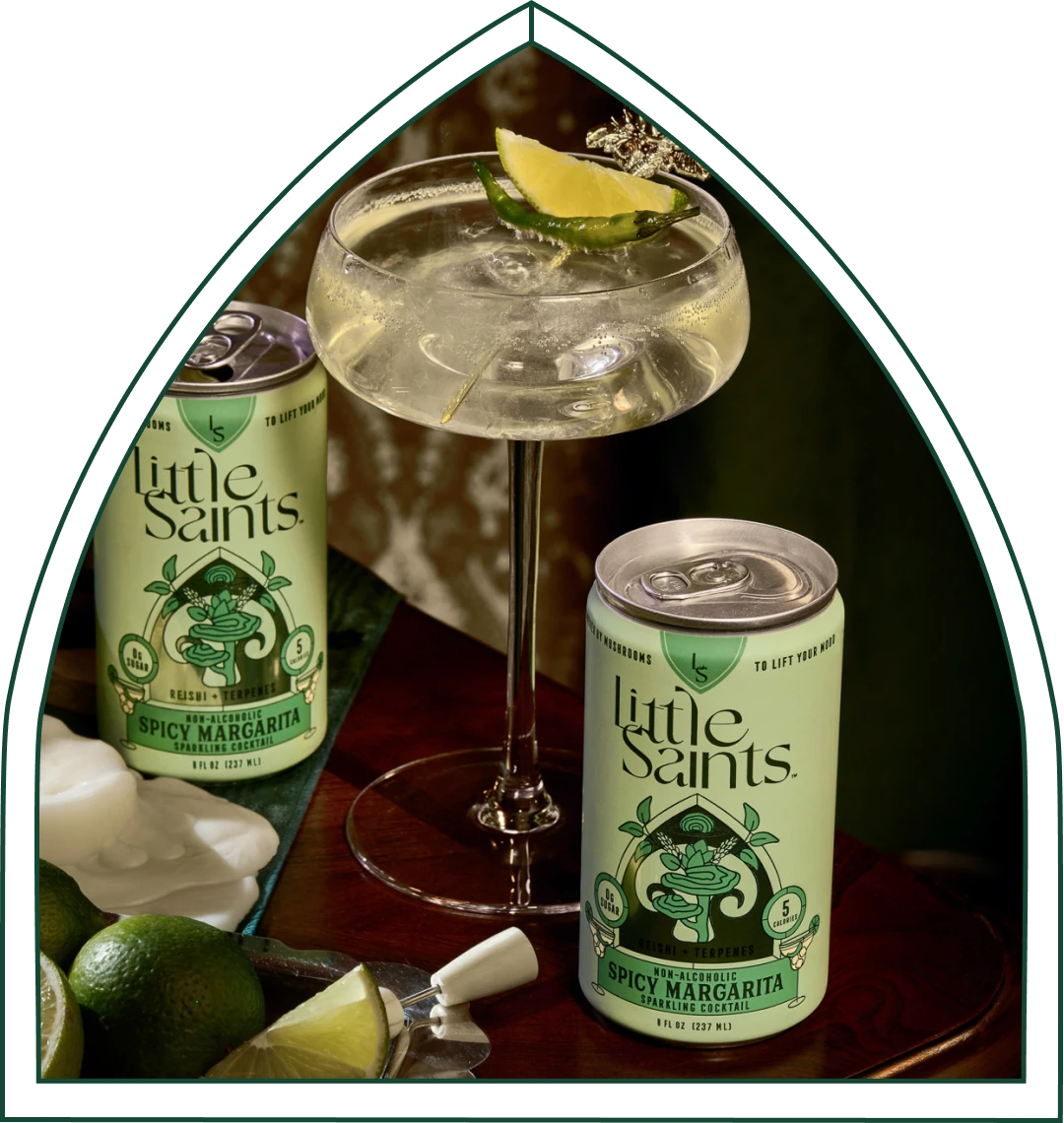 Spicy Margarita: Wholesale 12-pack