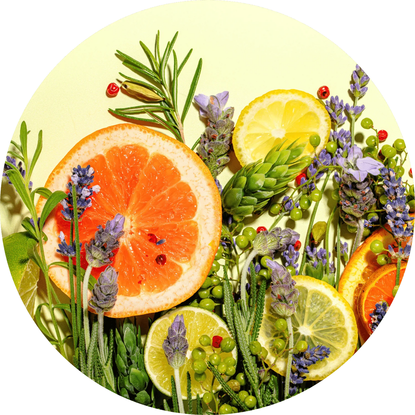 terpenes_optimized.webp